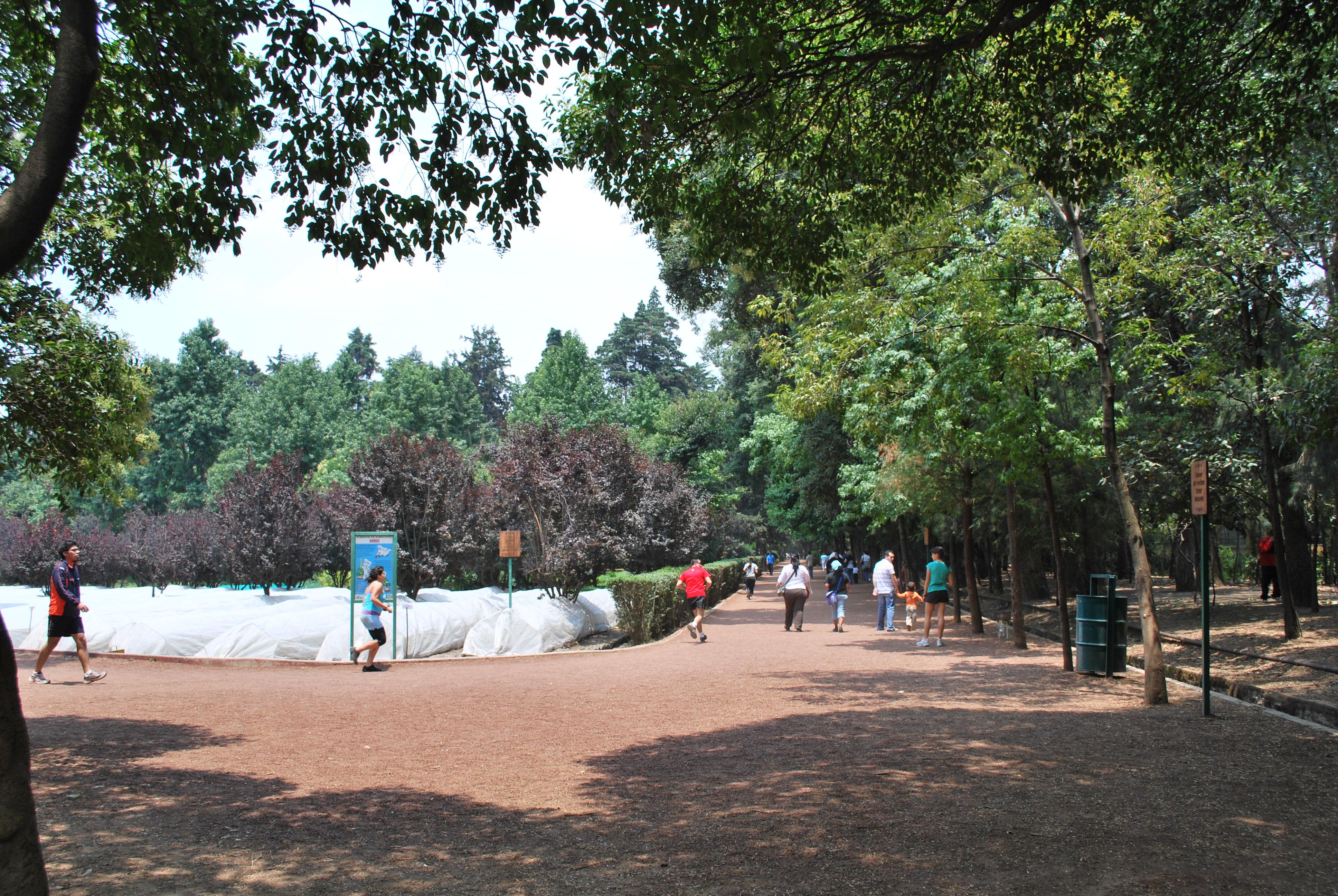 Museo Nacional de Culturas Populares